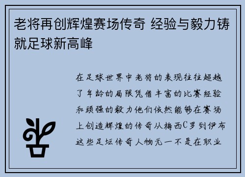 老将再创辉煌赛场传奇 经验与毅力铸就足球新高峰