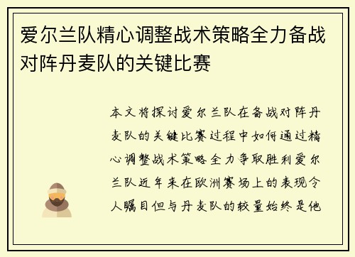爱尔兰队精心调整战术策略全力备战对阵丹麦队的关键比赛