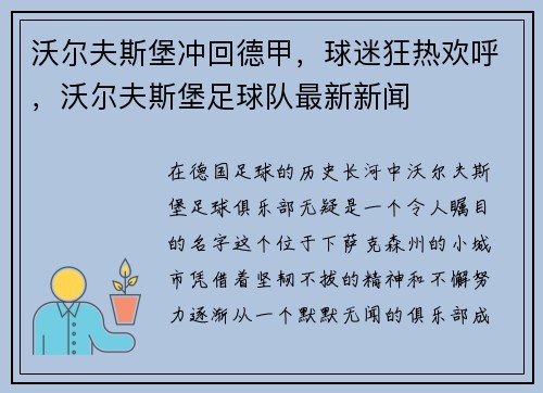 沃尔夫斯堡冲回德甲，球迷狂热欢呼，沃尔夫斯堡足球队最新新闻